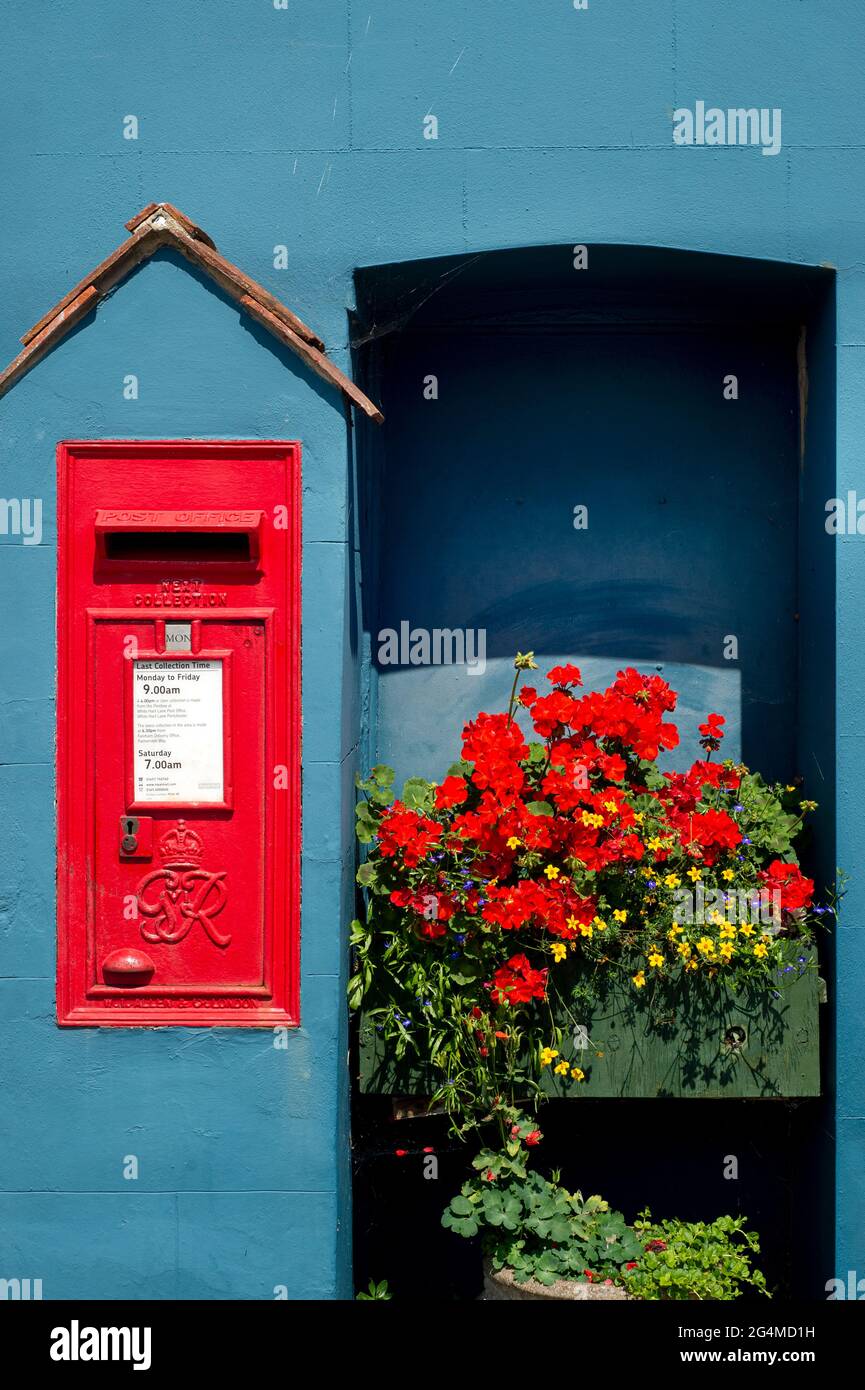 Tradizionale scatola posta Royal posta rossa in una parete blu circondata da fiori di primavera. Foto Stock
