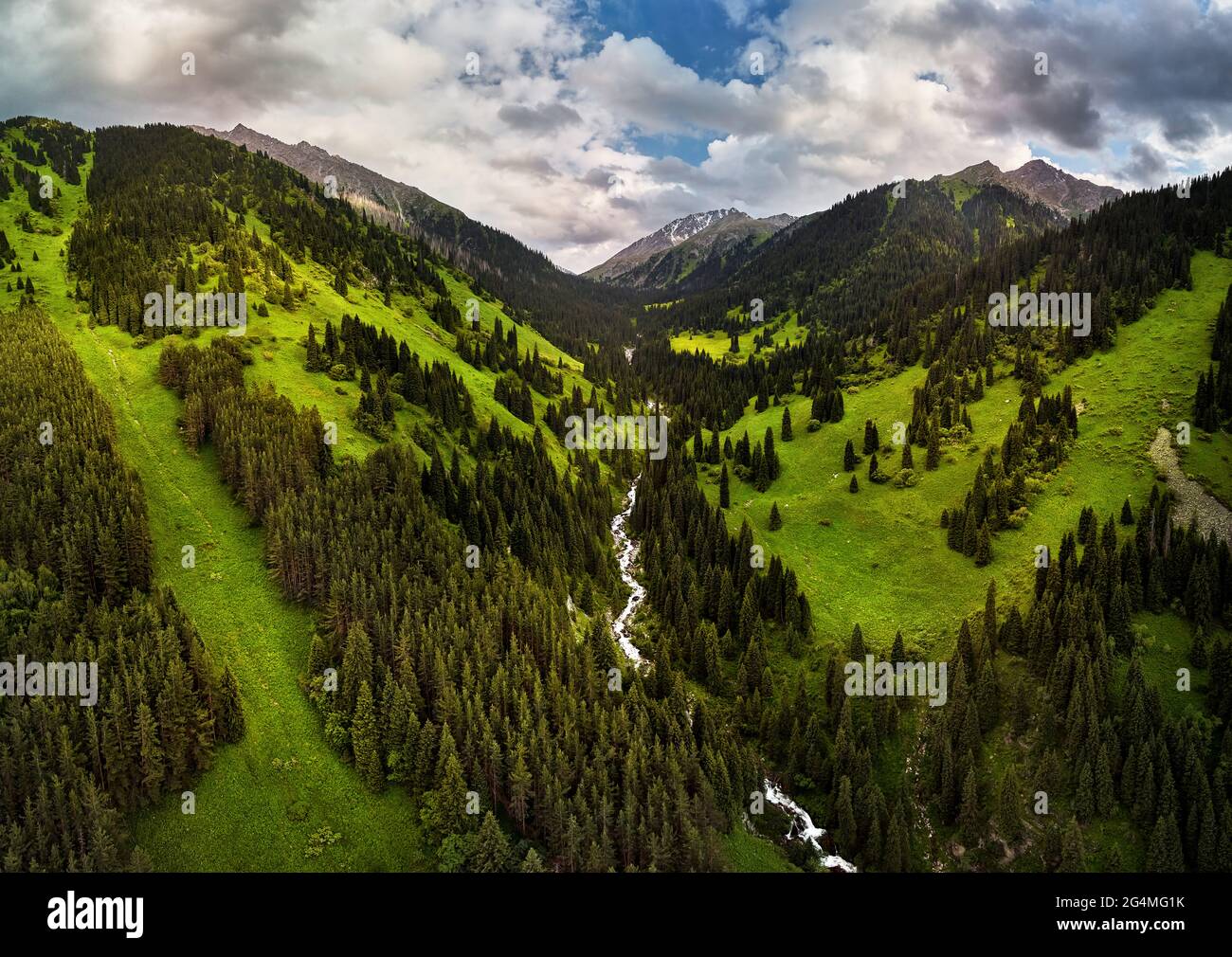 Vista aerea della valle di montagna con lussureggiante foresta. Foto scattata con il drone Foto Stock