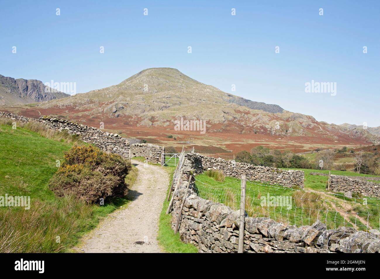 L'Old Man of Coniston e Dow Crag visto da vicino Torver High Common Coniston il Lake District Cumbria Inghilterra Foto Stock