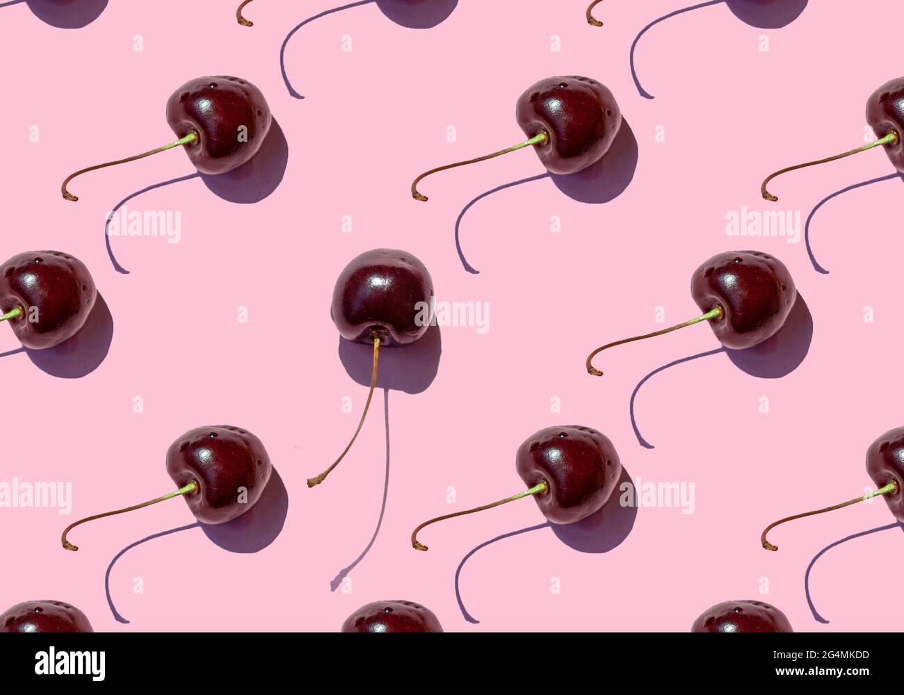 Bacche di ciliegia mature motivo senza cuciture su sfondo rosa. Primo piano. Foto Stock