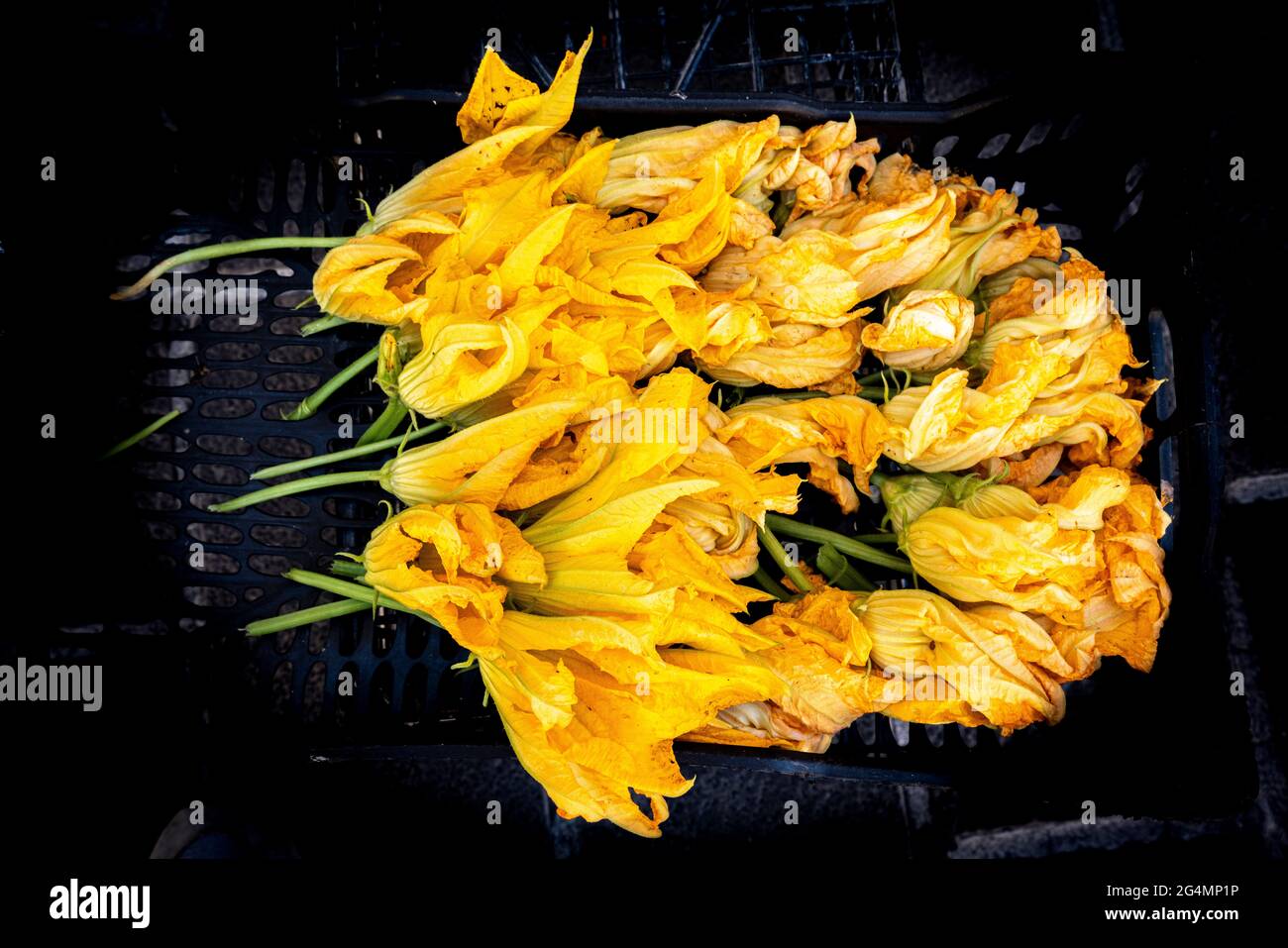 fiori di zucchine in vendita al mercato. Isernia, Molise, Italia, Europa Foto Stock