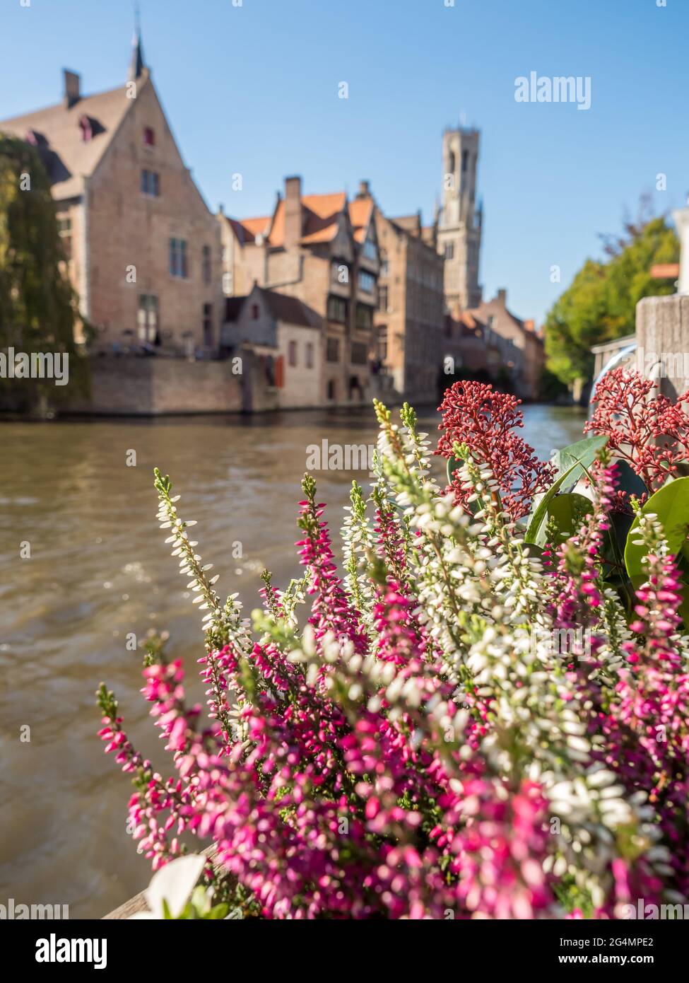 Brugge scene della città in Belgio, edifici residenziali attraenti e belle scene lungo il canale crusante, sotto il cielo blu Foto Stock