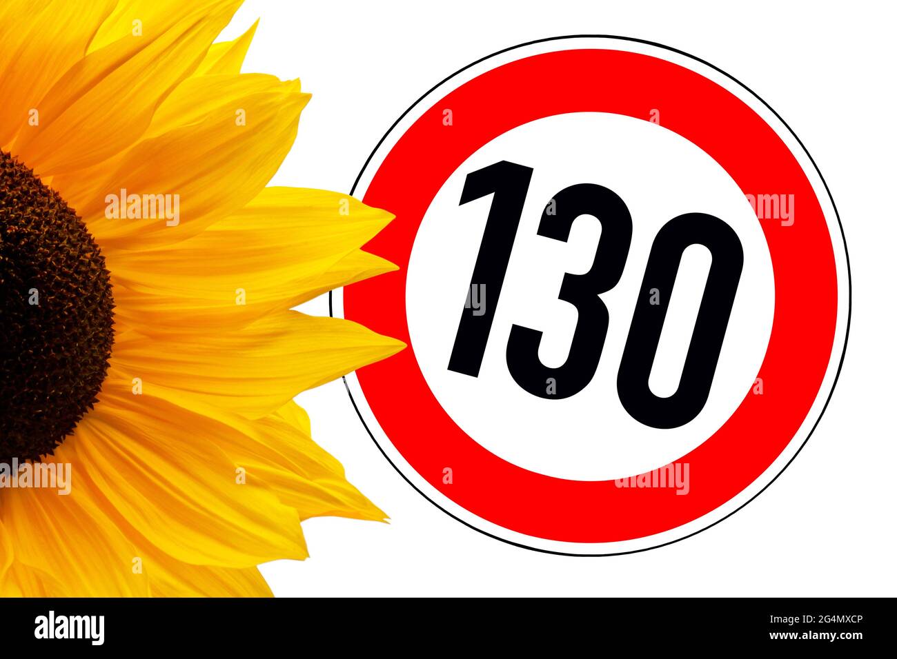 Girasole e segnale stradale 130 Foto Stock