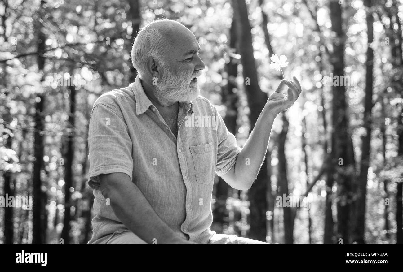 Guarda la bellezza in cose semplici. L'uomo vecchio bearded raccoglie le foglie. L'uomo felice gode della natura autunnale. Nonno bearded che si rilassa nella foresta. Escursioni in pensione Foto Stock