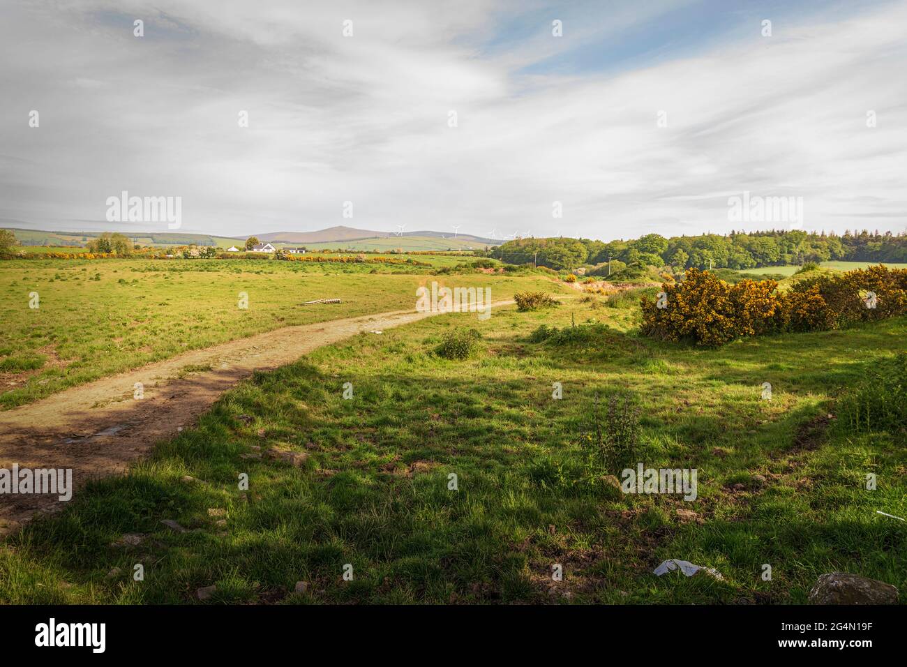 Paesaggio irlandese. Strada rurale, sterrata attraverso il campo a nord di Wexford. Irlanda. Foto Stock