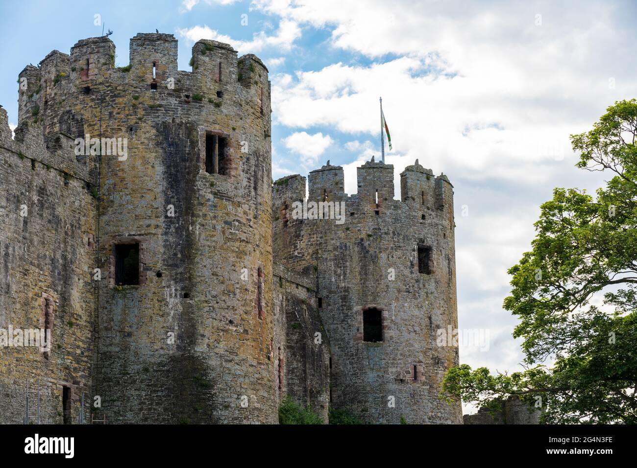 Le torri del castello di Conway e le merlature del Galles del nord Regno Unito Foto Stock