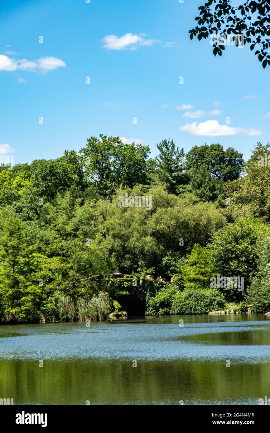 Woos vicino al lago in Central Park, New York, Stati Uniti Foto Stock