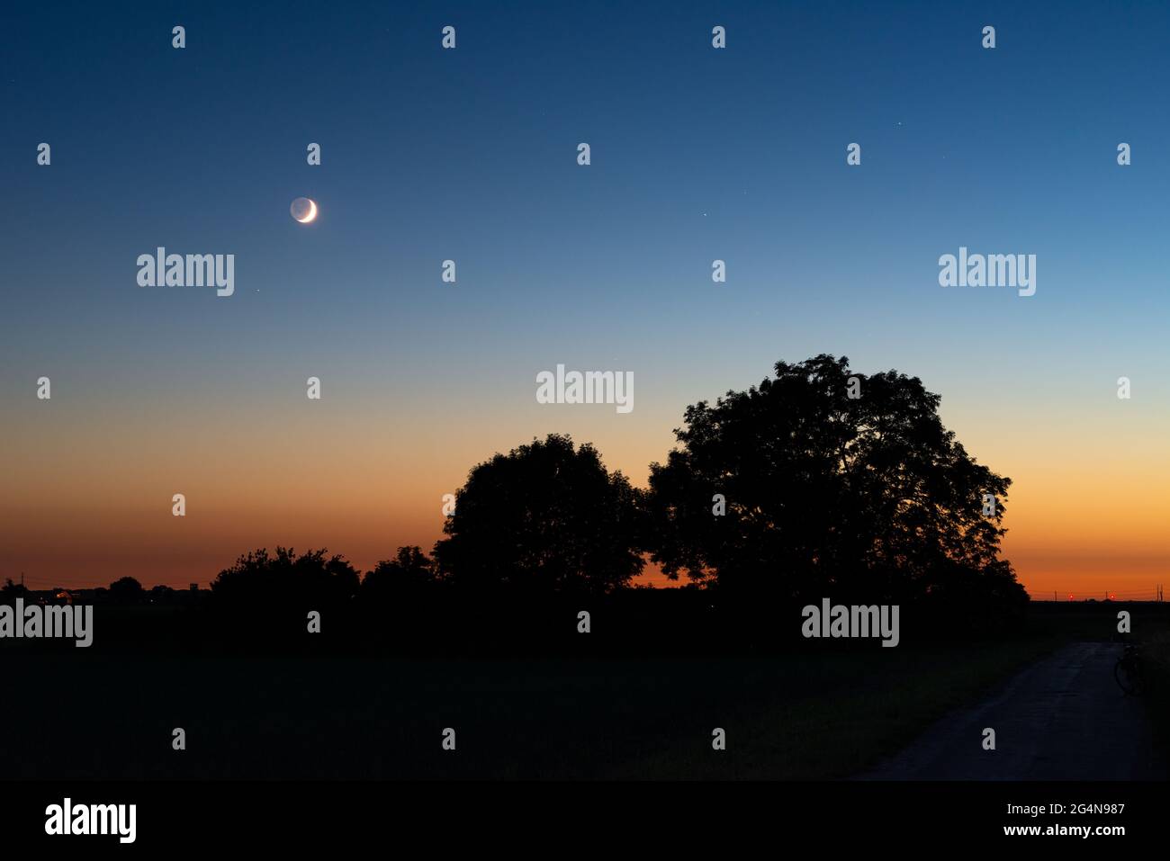 Luna di Crescent su alberi al crepuscolo serale Foto Stock