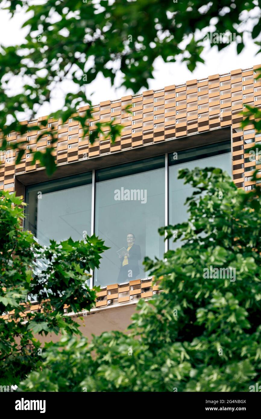 Dal basso attraverso la finestra vista di femmina in elegante vestito in piedi in casa moderna con elementi geometrici sulle pareti vicino alberi verdi e piante in da Foto Stock