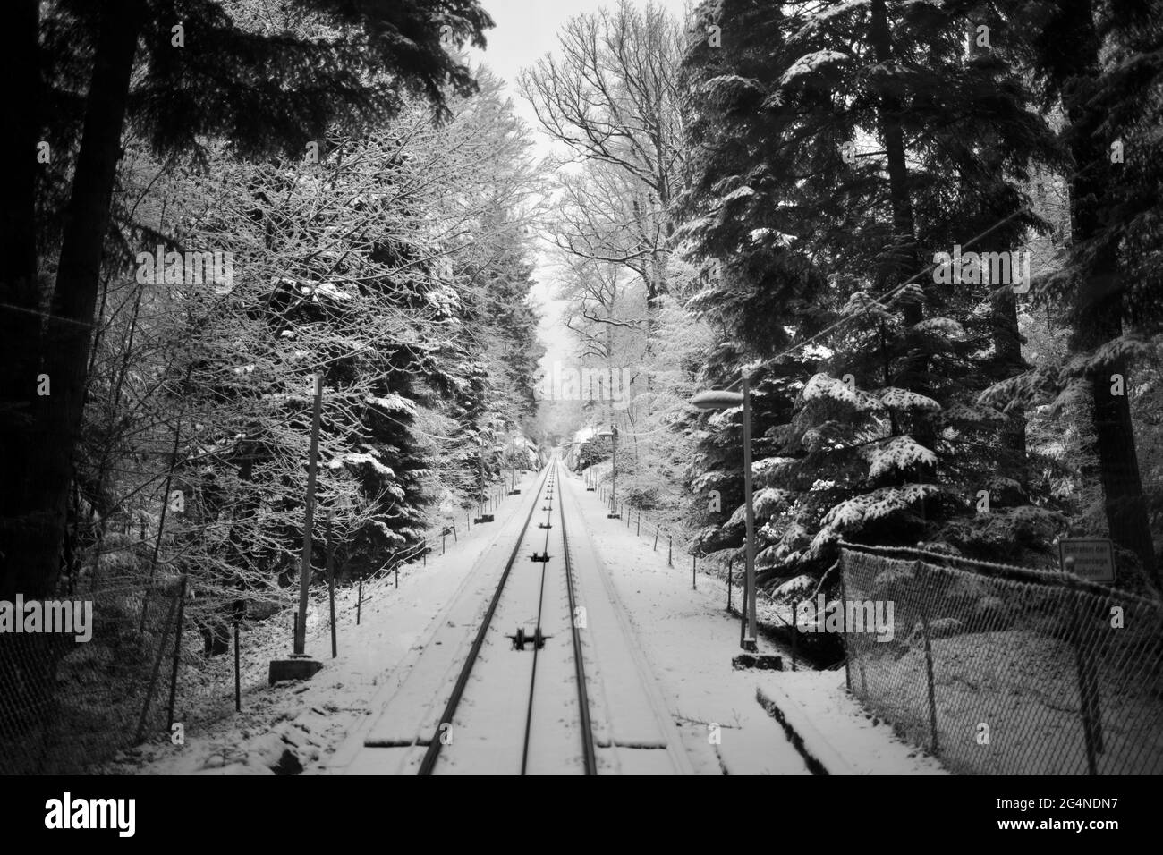 Merkur Bergbahn, che si dirige verso la cima di Merkur, Baden Baden, Germania Foto Stock