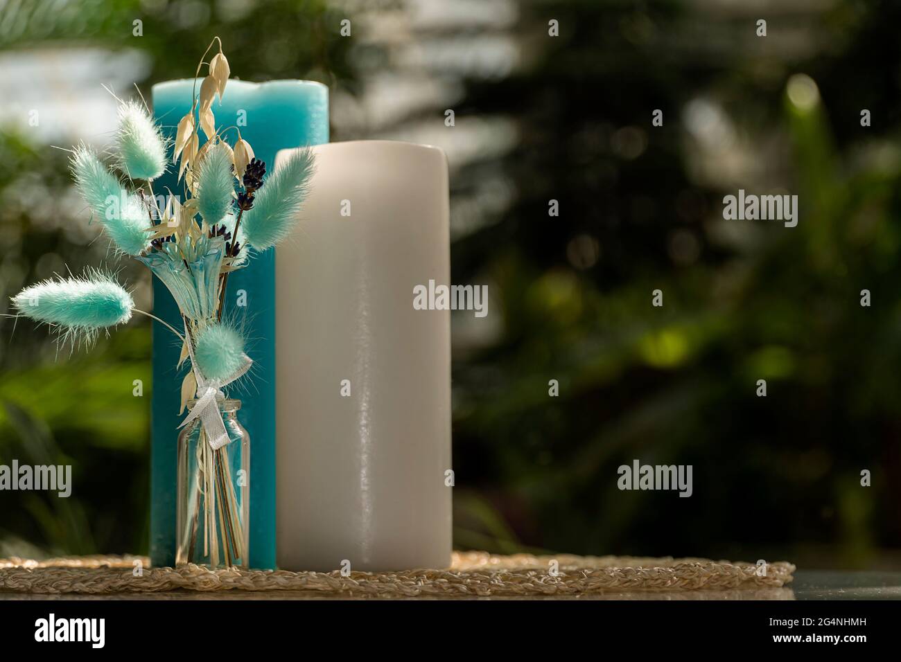 Composizione astratta con piante. I rami verdi di eucalipto sono in un vaso di vetro. Piume rosa, vasi, piante secche e fiori, candele, un pino Foto Stock