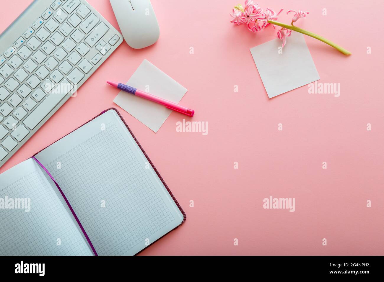 Scrivania rosa. Spazio di lavoro tavolo da ufficio con tastiera per computer e mouse cancelleria blocco note. Scrivania da tavolo con vista dall'alto e spazio per la copia rosa Foto Stock