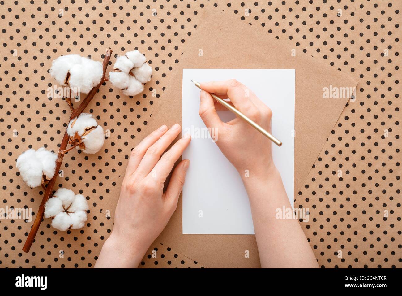 Le mani femminili scrivono la lettera sul tavolo con fiori in fiore di cotone. Donna fare lista dei desideri o fare lista piatta laici. Ragazza scrive biglietto di auguri segno. Foto Stock