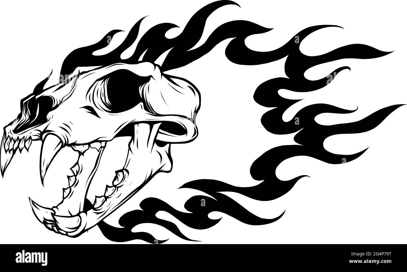 Illustrazione vettoriale del cranio tigre silhouette con fiamme Illustrazione Vettoriale