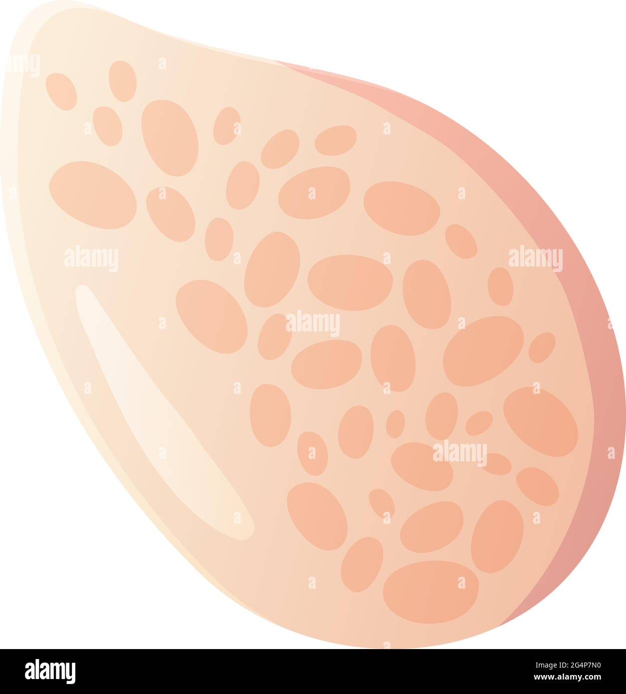 Conchiglia rosa del cuoio capelluto. Beach clipart, concetto di elementi oceanici. Illustrazione vettoriale dello stock isolata su sfondo bianco in stile cartoon piatto Illustrazione Vettoriale