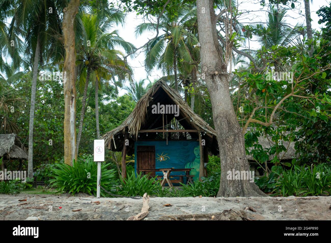 Palomino, la Guajira, Colombia - Maggio 24 2021: Piccola Casa ecologica circondata da vegetazione, un sacco di Palmeri e altri alberi vicino al mare Foto Stock