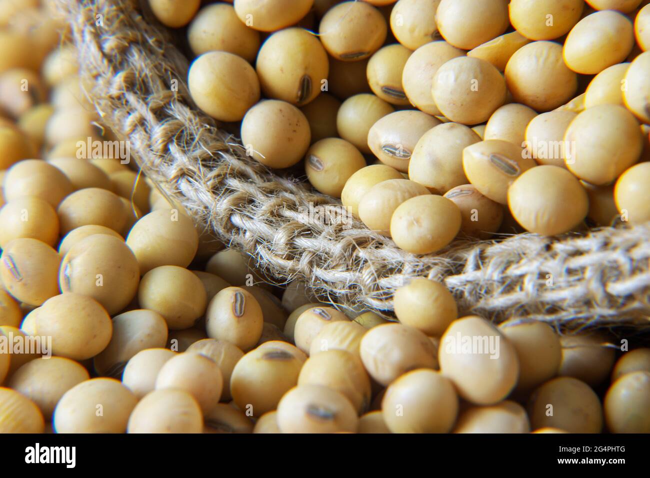 Soia - raccolto nello stato di Mato Grosso do sul, Brasile nel 2021 Foto Stock