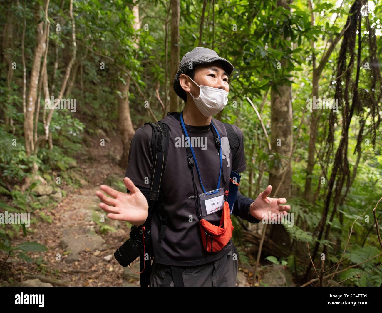 Guida forestale nel Parco Nazionale di Yanbaru, Okinawa, Giappone Foto Stock