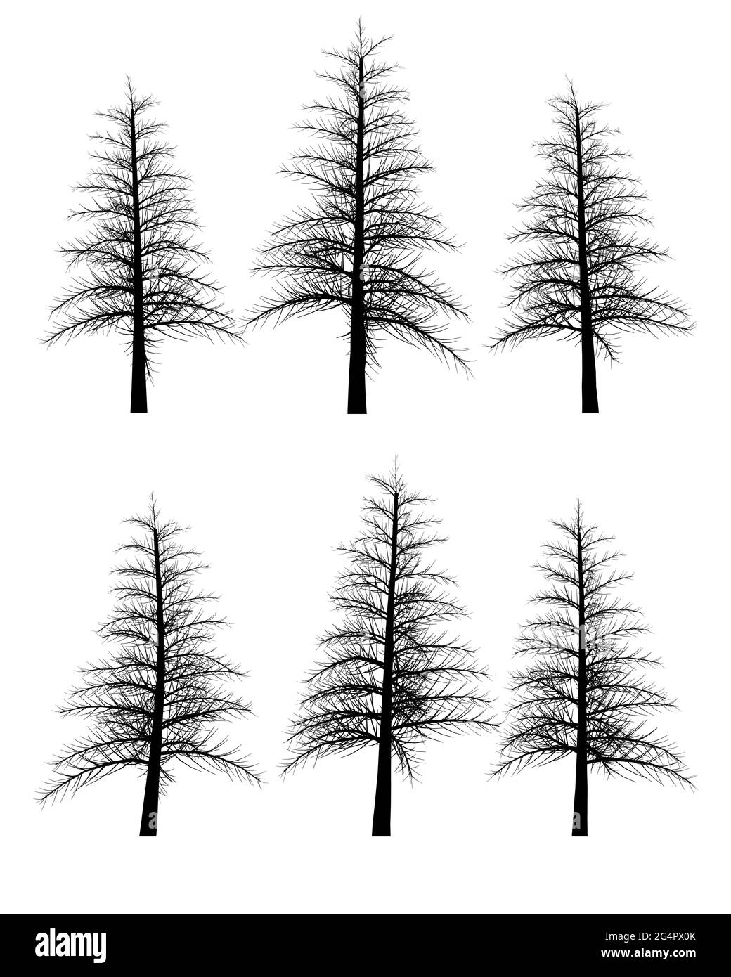 Set con sagome di alberi isolati su sfondo bianco. Illustrazione vettoriale. Illustrazione Vettoriale