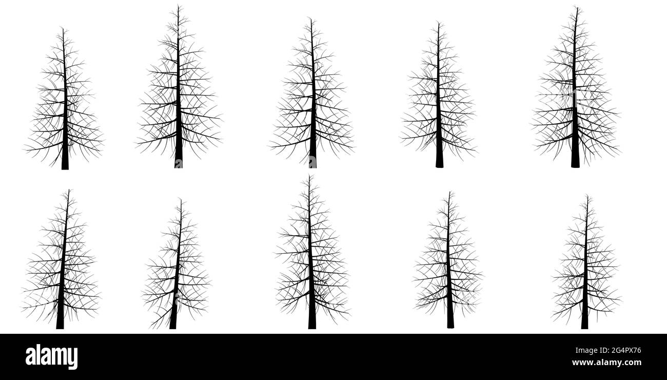 Set con sagome di alberi isolati su sfondo bianco. Illustrazione vettoriale. Illustrazione Vettoriale