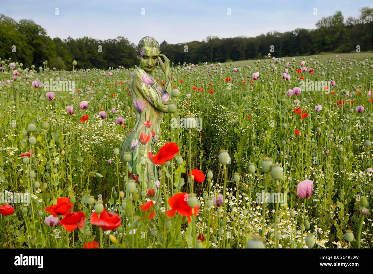Nature Art: Fotoshooting papavero in un campo papavero. In Rehren il 20 giugno 2021 - artista di bodypainting: Joerg Duesterwald Foto Stock