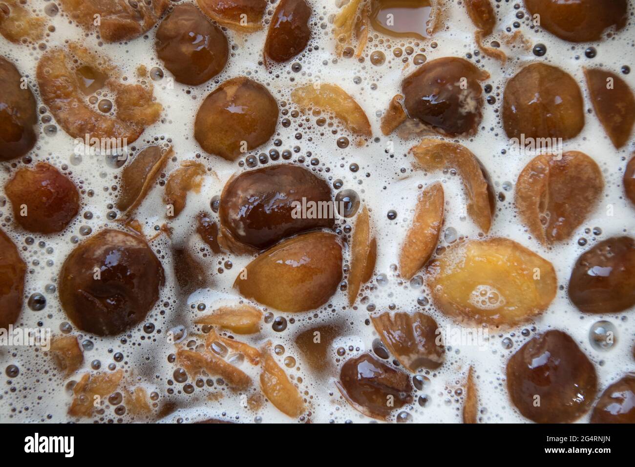 Prugne, lievito e zucchero lasciati in un secchio per fermentare nel vino :  vinificazione o vinificazione fatta in casa, appena mescolati Foto stock -  Alamy