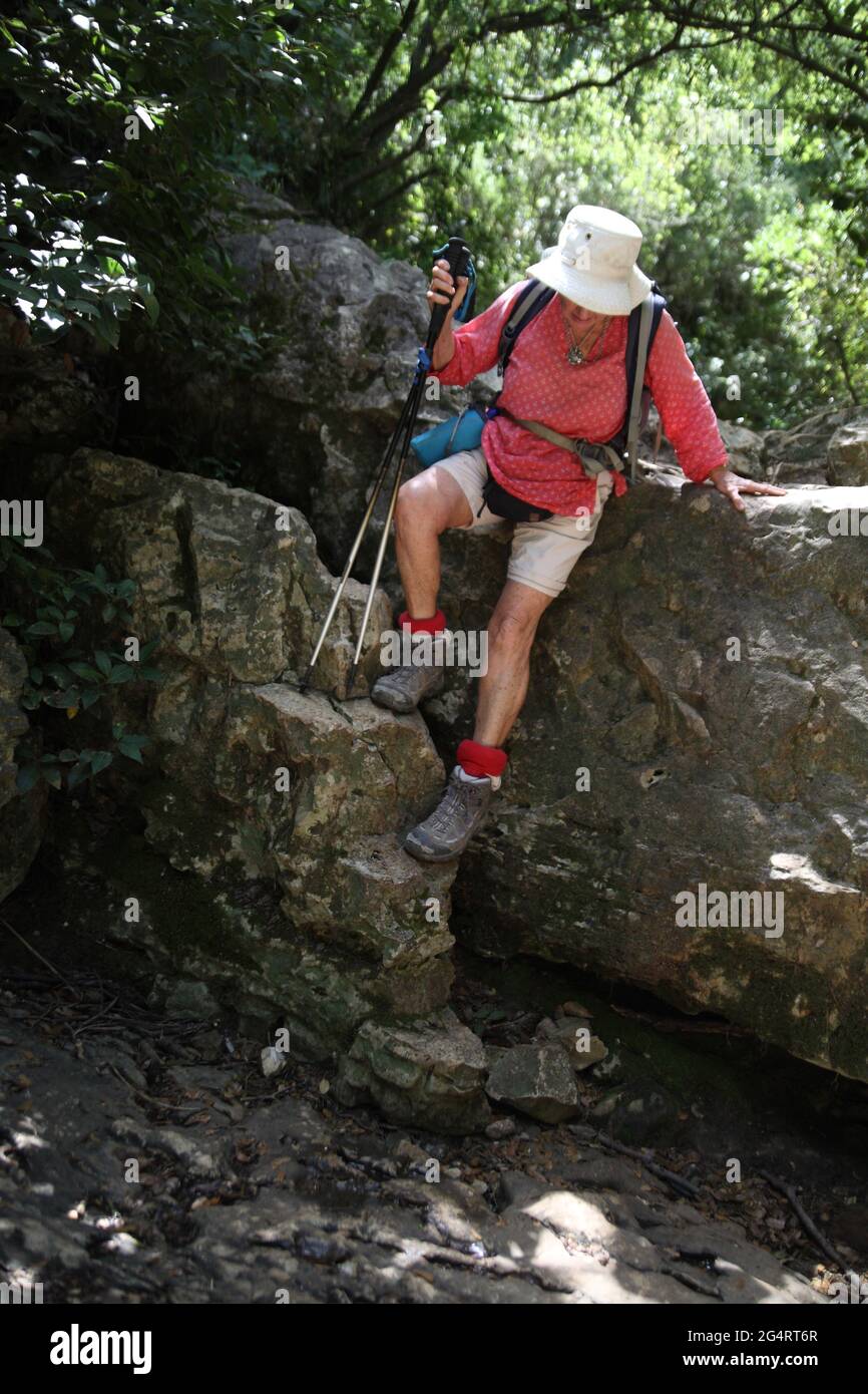 Donna escursionista, adulto anziano, 78 anni, discende lentamente e con cautela da una roccia alta in un letto di fiume asciutto nel denso arbusto sul Monte Carmelo. Foto Stock