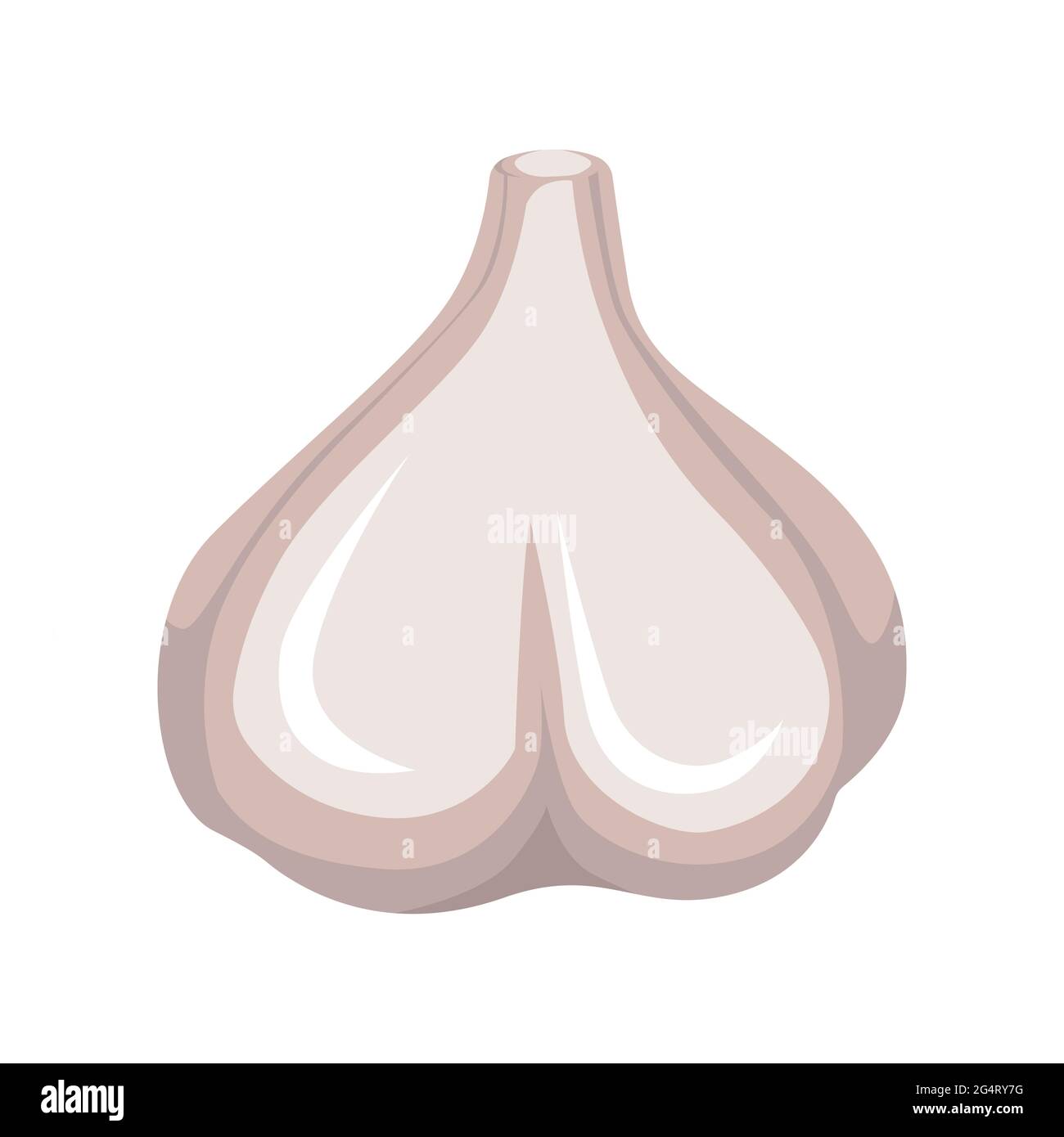 Bulbo d'aglio intero su sfondo bianco. Cibo sano. Illustrazione vettoriale. Illustrazione Vettoriale