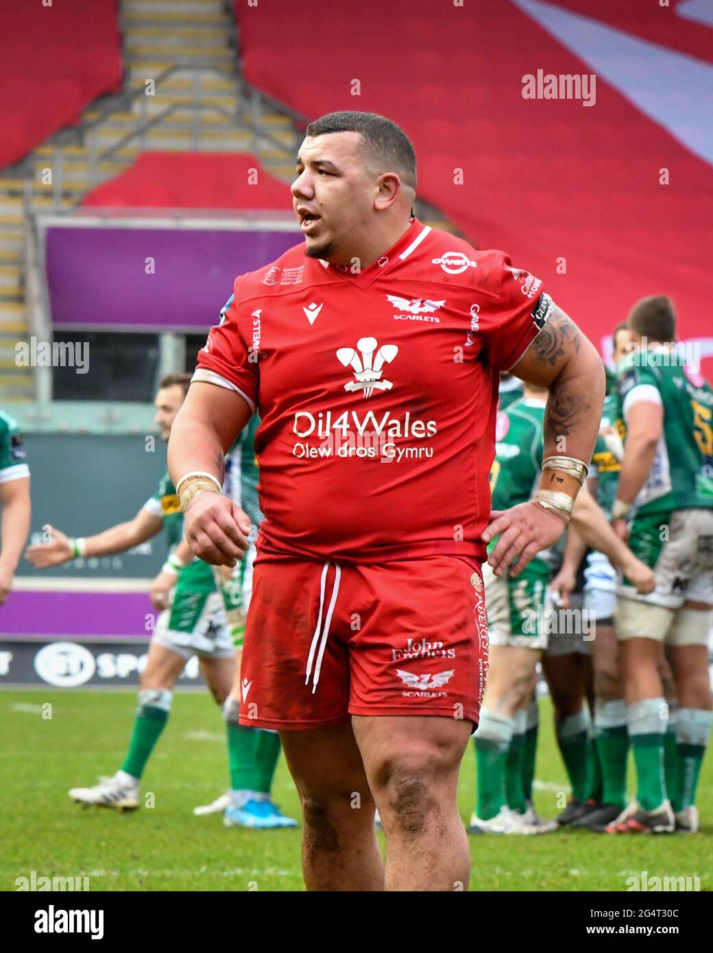 Llanelli, Galles. 20 febbraio 2021. Prop Javan Sebastian di Scarlets durante la Guinness PRO14 match tra Scarlets e Benetton al Parc y Scarlets di Llanelli, Galles, Regno Unito, il 20 febbraio 2021. Gli stadi sportivi di tutto il Regno Unito sono soggetti a rigorose restrizioni a causa del Coronavirus Pandemic, in quanto le leggi governative sull'allontanamento sociale vietano i tifosi all'interno dei locali, con conseguente gioco a porte chiuse. Credito: Duncan Thomas/Majestic Media. Foto Stock