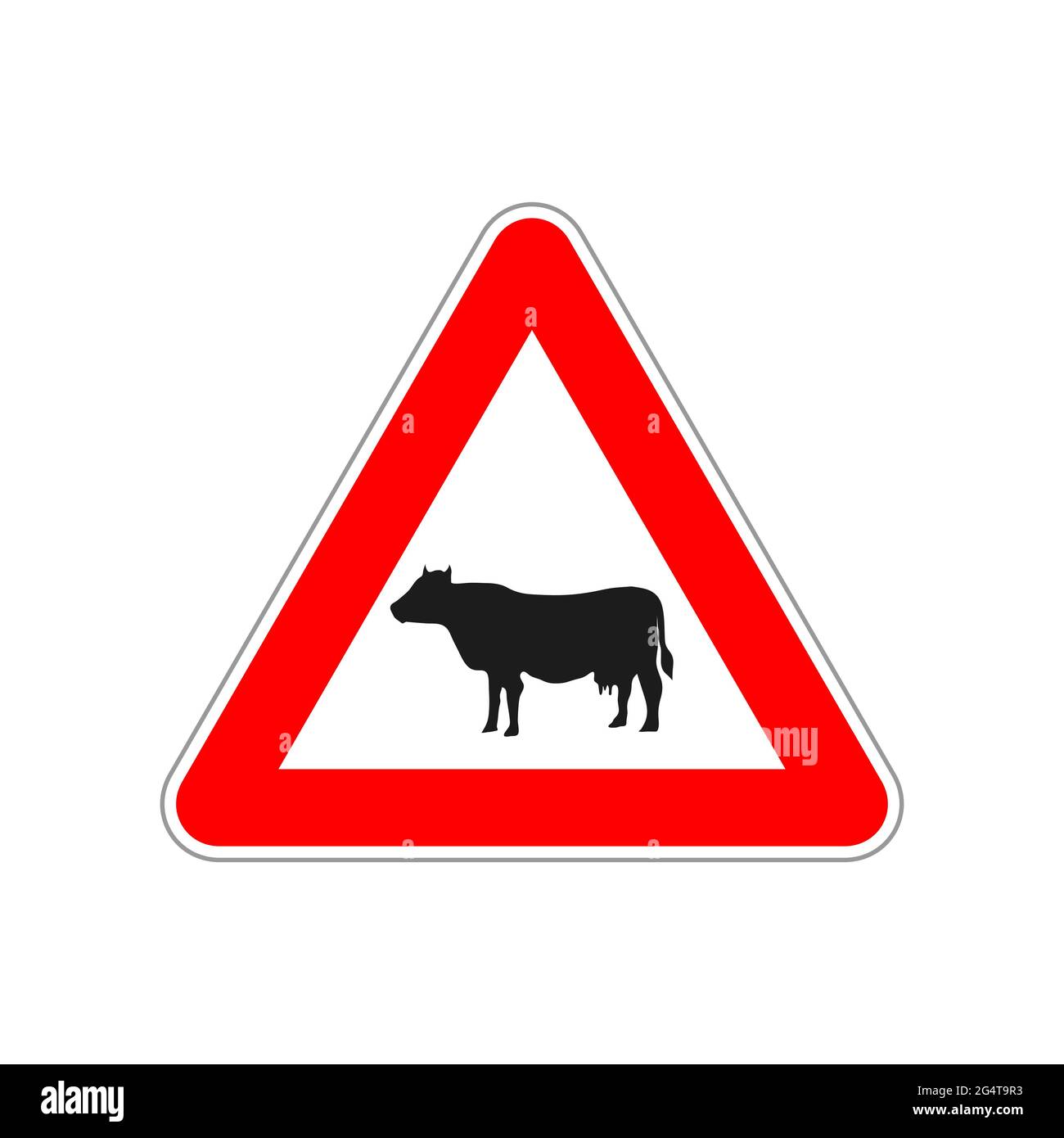 Icona mucca sul triangolo rosso e bianco segnale stradale su bianco Illustrazione Vettoriale
