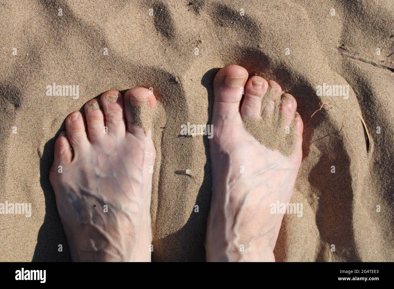 Piedi nudi sulla spiaggia con sabbia tra le dita dei piedi, piedi femmina di Veiny con spazio di copia Foto Stock