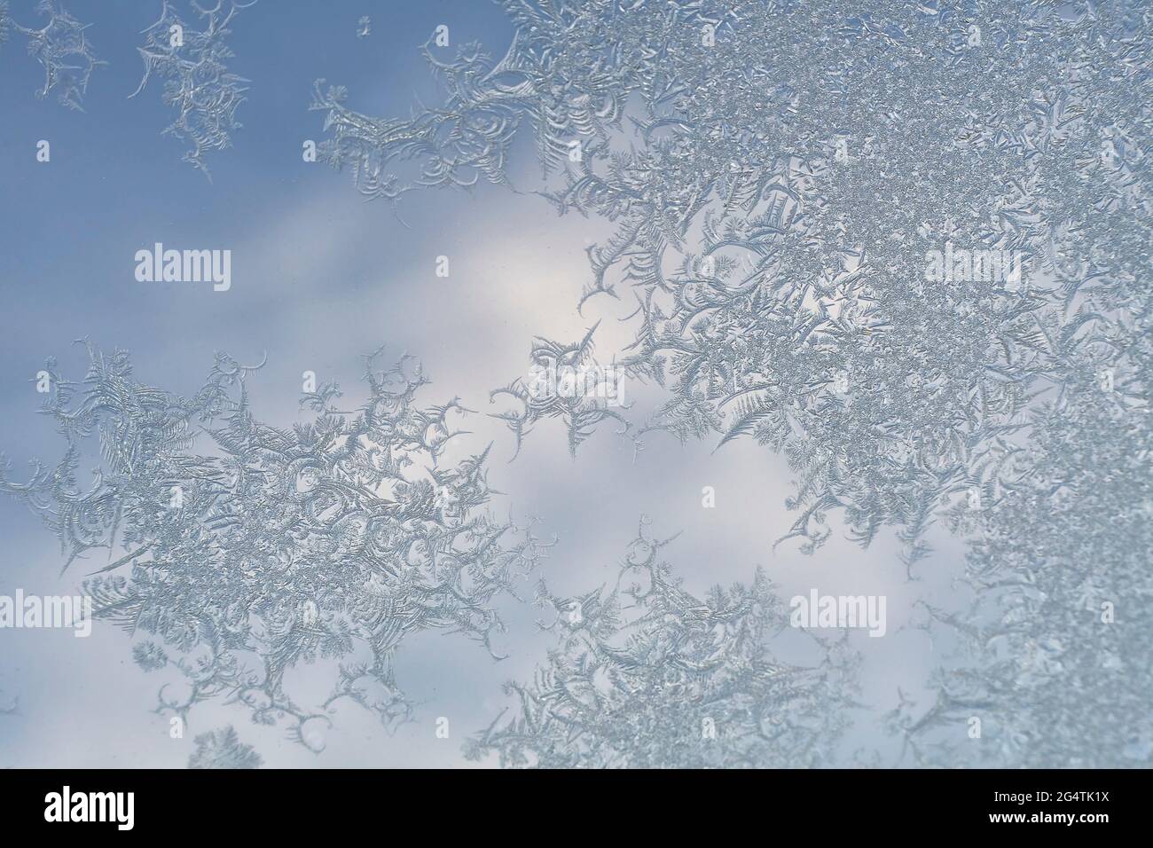 gelo sulla finestra, cristalli d'acqua sul vetro Foto Stock