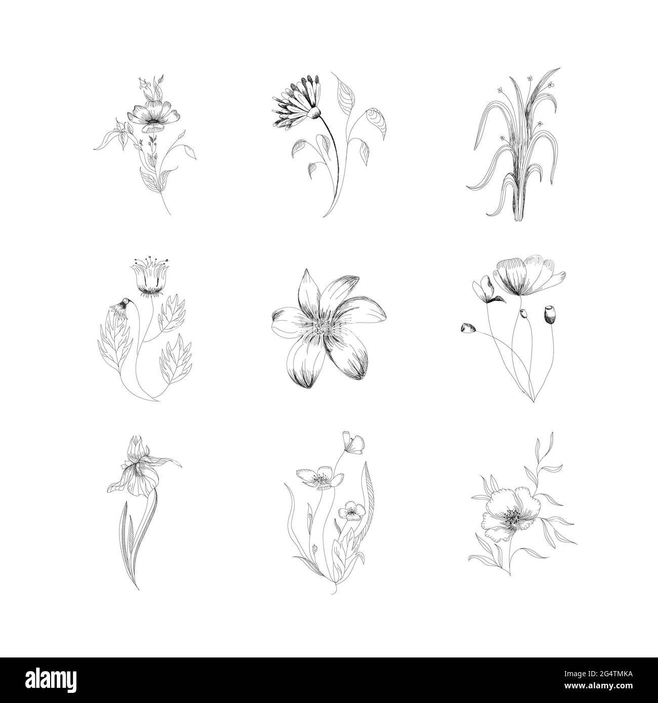 Illustrazioni vettoriali Set floreale fiori, foglie e bacche elementi disegnati a mano. Tatuaggio Illustrazione Vettoriale