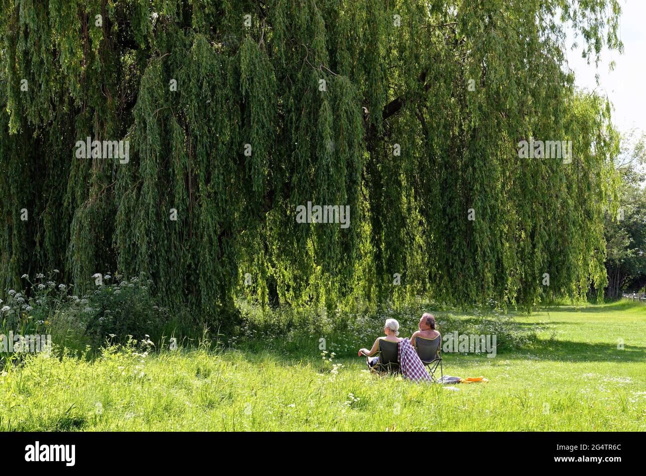 Una vista posteriore di una coppia di mezza età seduta sotto un salice piangente vicino al fiume Tamigi a Shepperton in un caldo giorno di sole estati Shepperton Surrey Foto Stock