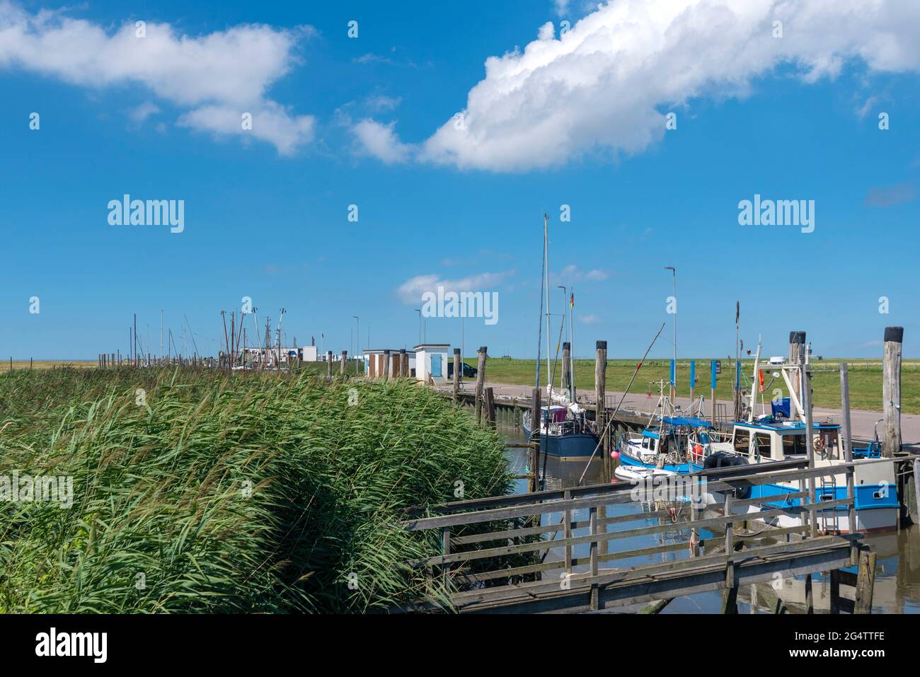 Porto di pesca, Spieka, bassa Sassonia, Germania, Europa Foto Stock