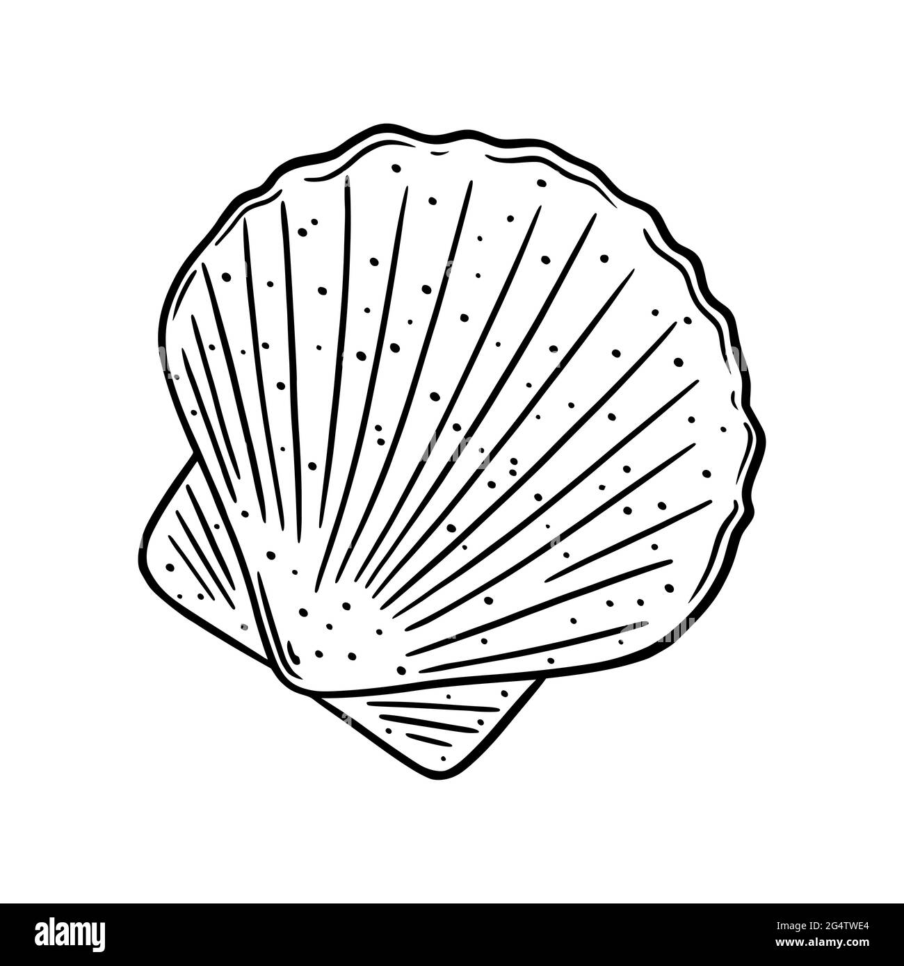Logo della conchiglia del cuoio capelluto. Schizzo di conchiglia mediterranea. Illustrazione vettoriale isolata su sfondo bianco Illustrazione Vettoriale