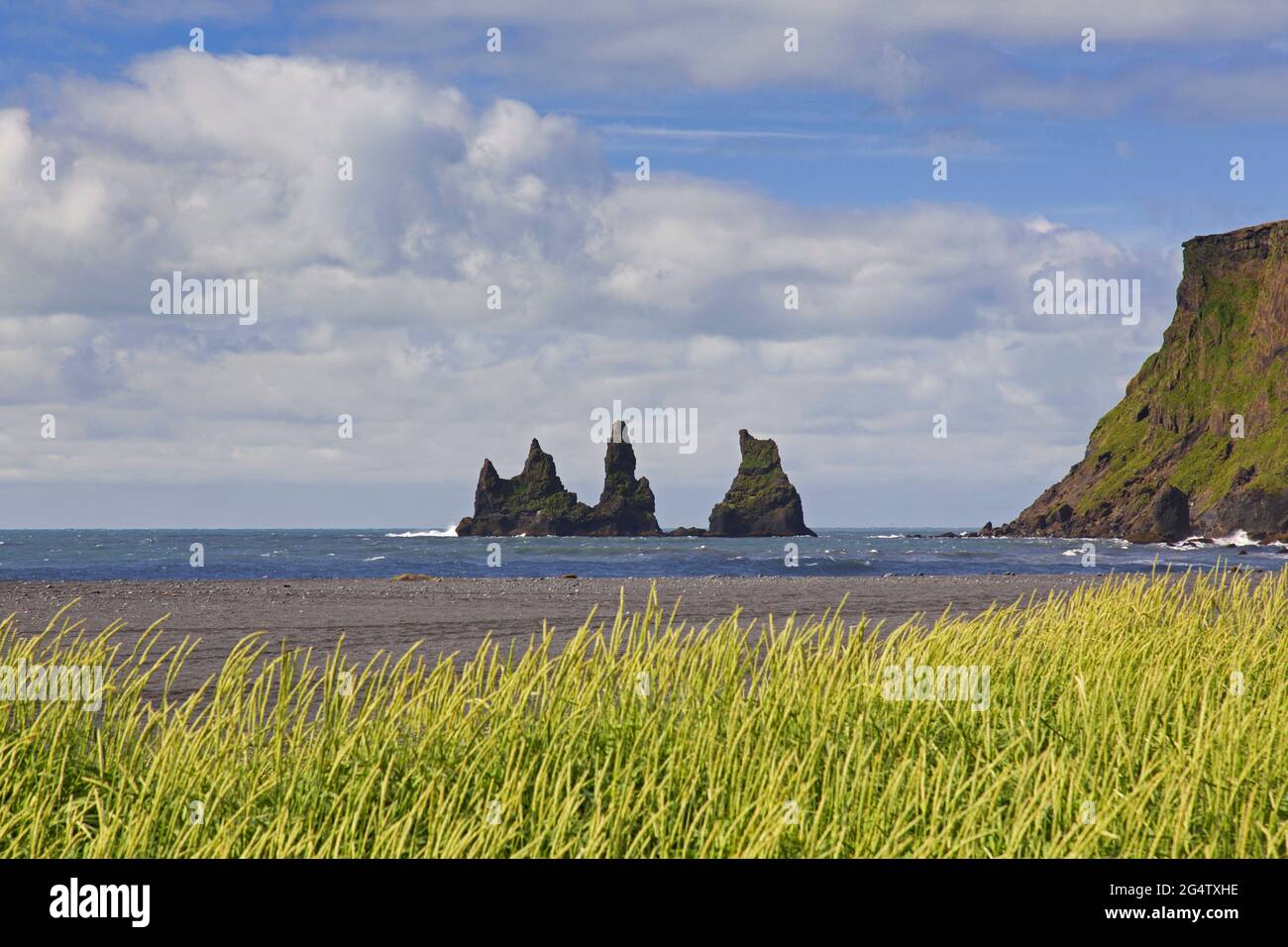 Reynisdrangar, cataste di basalto mare vicino al villaggio Vík í Mýrdal in estate, Islanda meridionale Foto Stock
