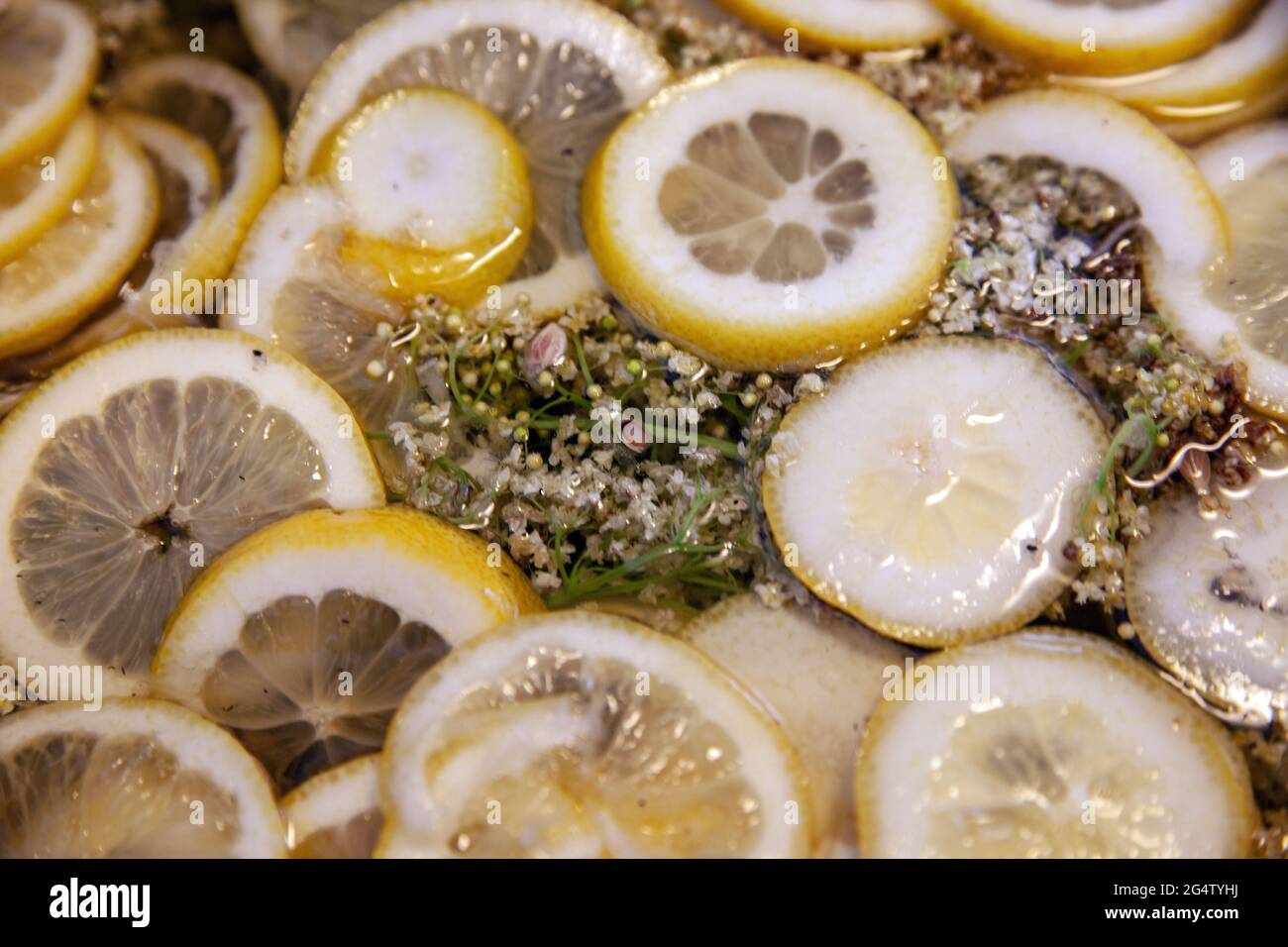 Fiori di ontano in pentola con zucchero e limone Foto Stock