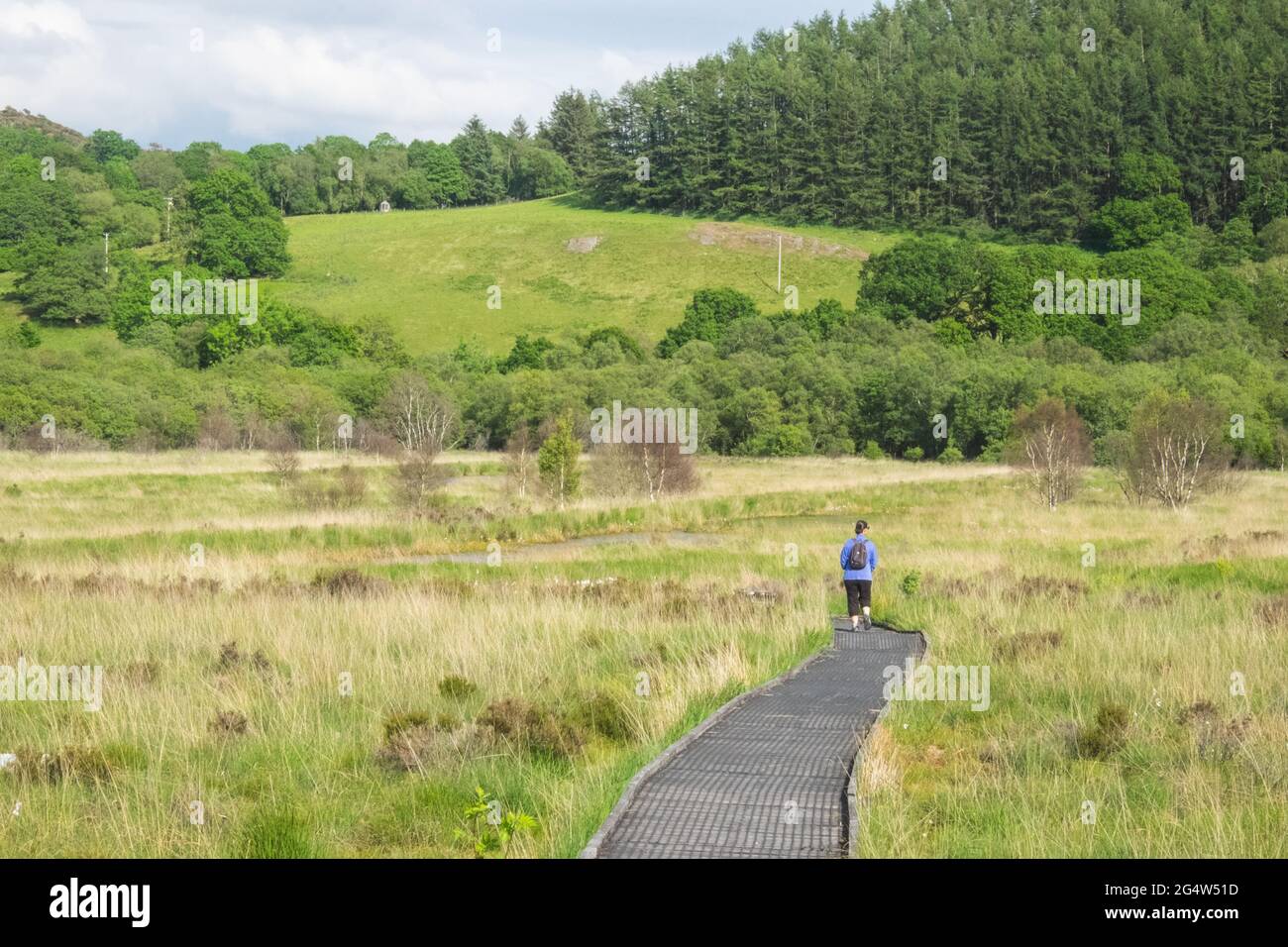 Il CORS Caron è una palude rialzata a Ceredigion, Galles. CORS è la parola gallese per 'bog': Il sito è anche noto come Tregaron Bog, essendo vicino alla piccola città di Tregaron. Il CORS Caron copre una superficie di circa 349 ettari. Il CORS Caron rappresenta l'esempio più intatto sopravvissuto di un paesaggio di palude rialzata nel Regno Unito. Circa 44 diversi gruppi di specie abitano la zona, tra cui varie piante terrestri e acquatiche, pesci, insetti, crostacei, lichen, Funghi, mammiferi terrestri e uccelli.la Riserva Naturale Nazionale di Cors Caron è una vasta area di zone umide che riempie l'ampia valle del fiume Teifi vicino Foto Stock