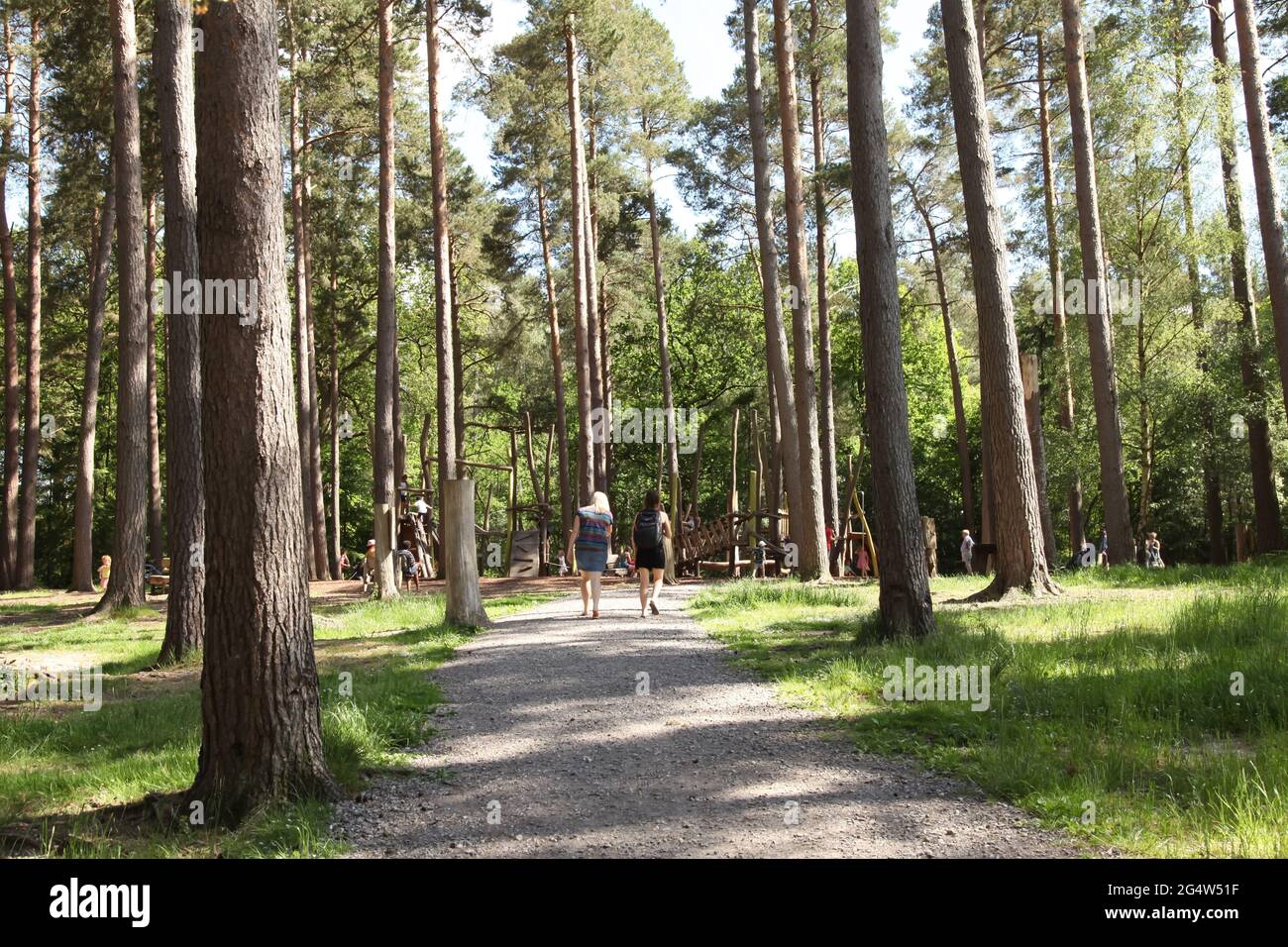 Due donne che camminano attraverso la foresta di ritorno a macchina fotografica, Alice Holt Forest, Alton, Surrey, Regno Unito, Estate 2021 giugno Foto Stock
