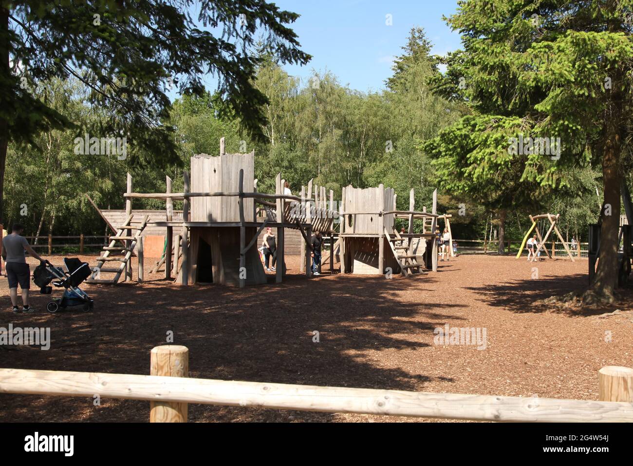 Alice Holt Forest, Alton, Surrey, Regno Unito, estate 2021 giugno Foto Stock