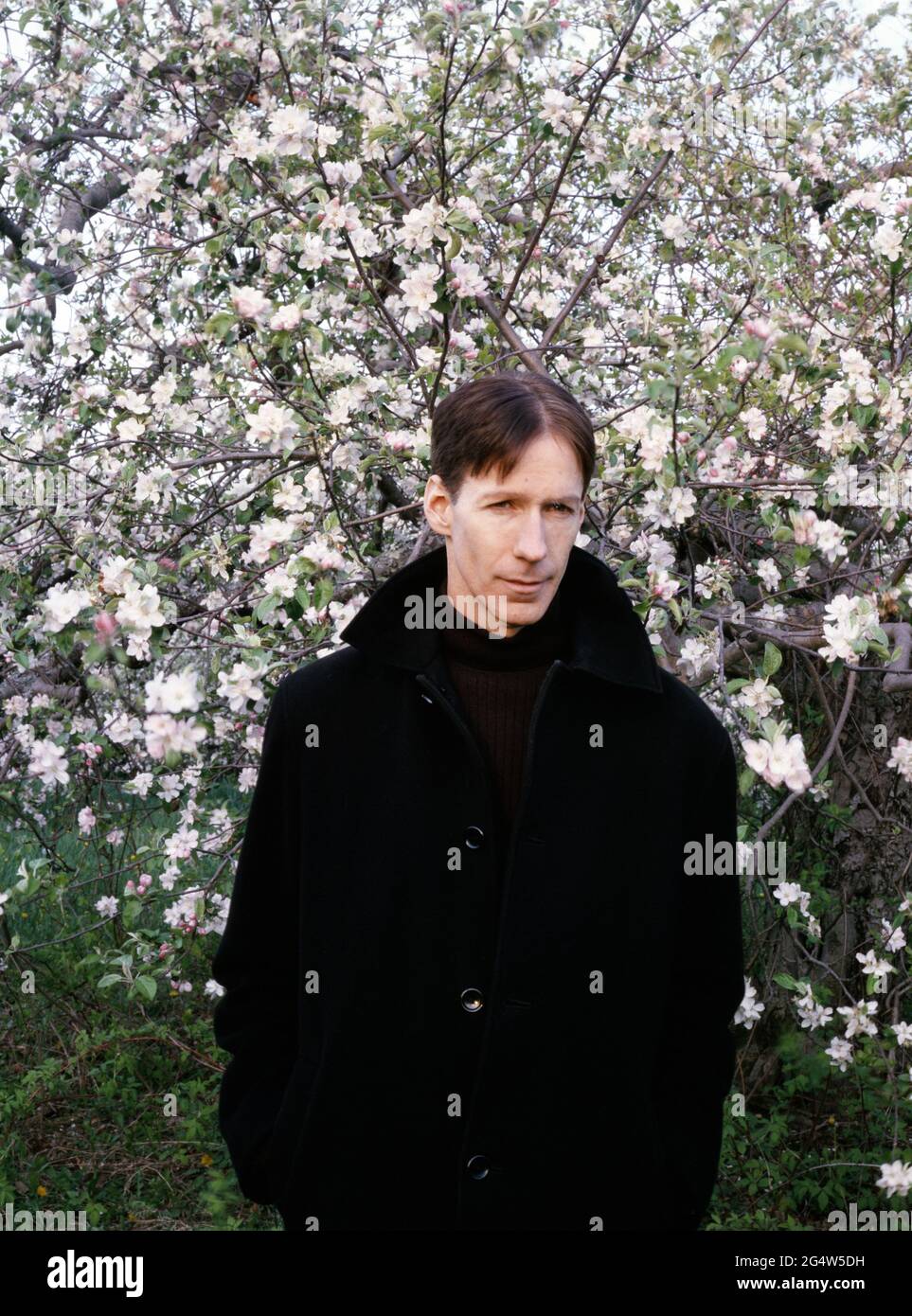 Modello giovane maschio che indossa un soprabito in un frutteto di mele del New England in primavera Foto Stock