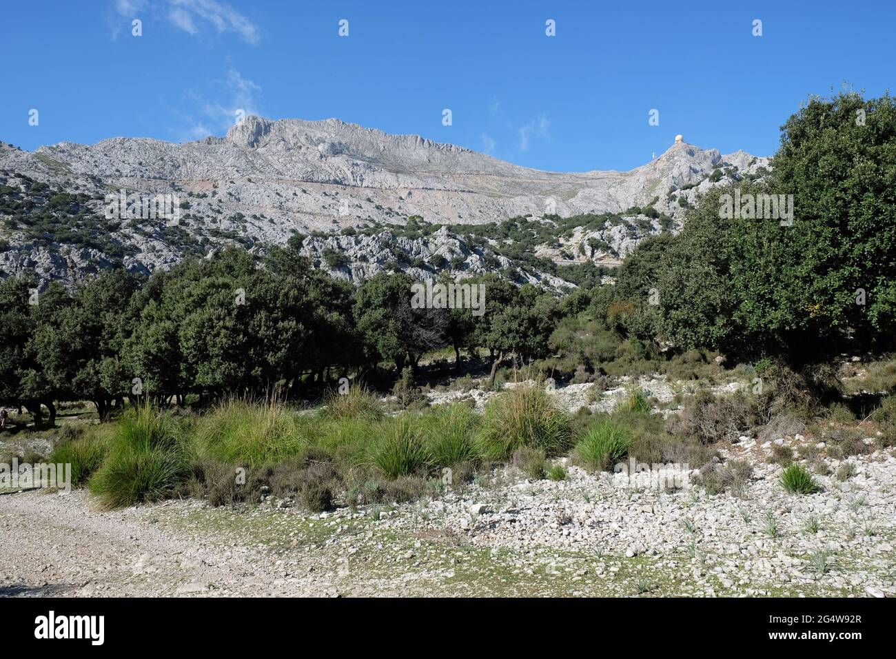 Puig Mayor, Isole Baleari di Maiorca Foto Stock