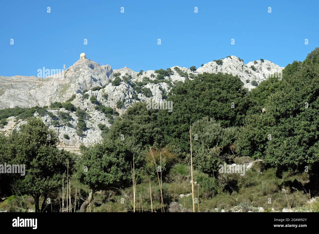 Puig Mayor, Isole Baleari di Maiorca Foto Stock