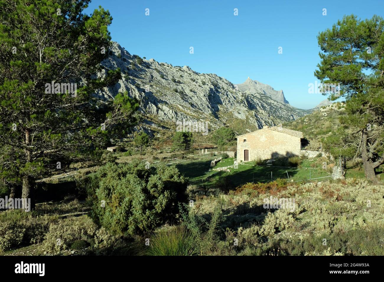 Puig Mayor, Isole Baleari di Maiorca Foto Stock