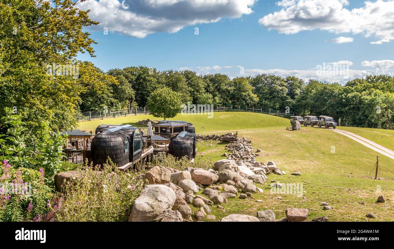 Ebeltoft, Danimarca - 21 luglio 2020: Safari cabine dove si può trascorrere la notte sulla savana, Black lusso cabine, safari cabine Foto Stock
