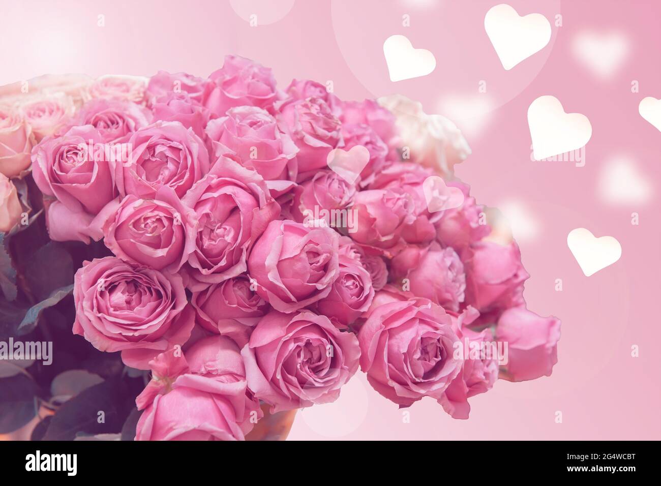 bel bouquet di rose rosa. Bokeh in forma di foto con un bouquet di fiori. Rose  romantiche su una cartolina. Spazio copia Foto stock - Alamy