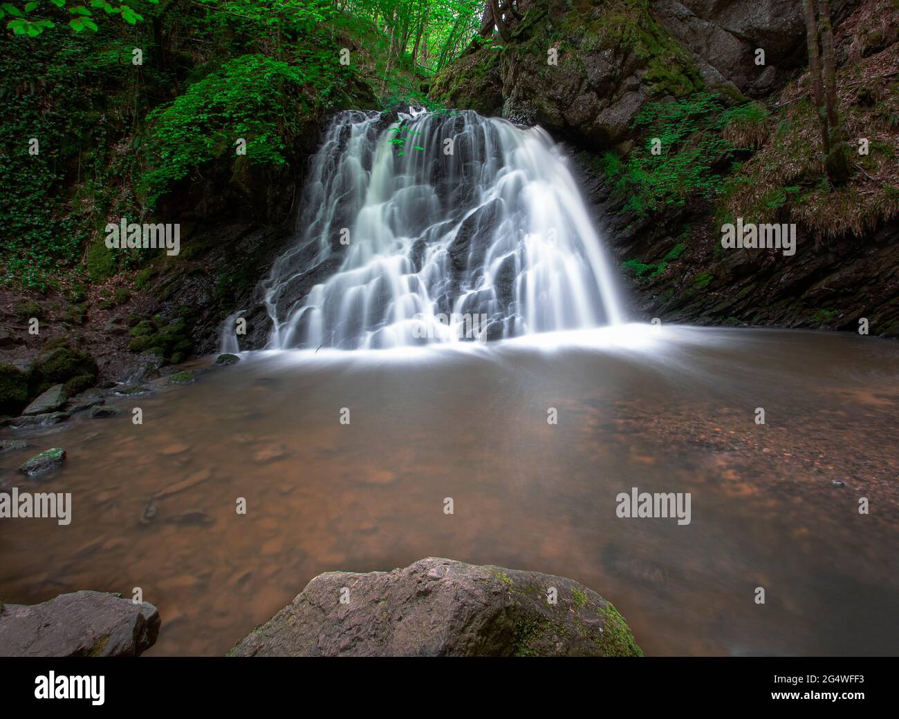Fairy Glen Falls sulla penisola di Black Isle nelle Highlands scozzesi, Regno Unito Foto Stock