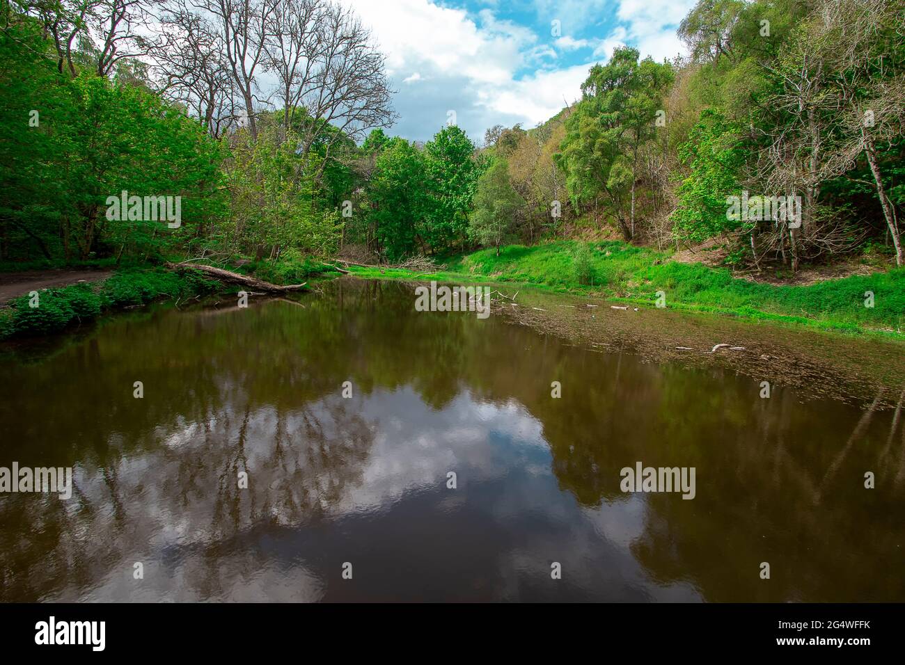 Sul sentiero per Fairy Glen Falls vicino a Fortrose nelle Highlands scozzesi, Regno Unito Foto Stock