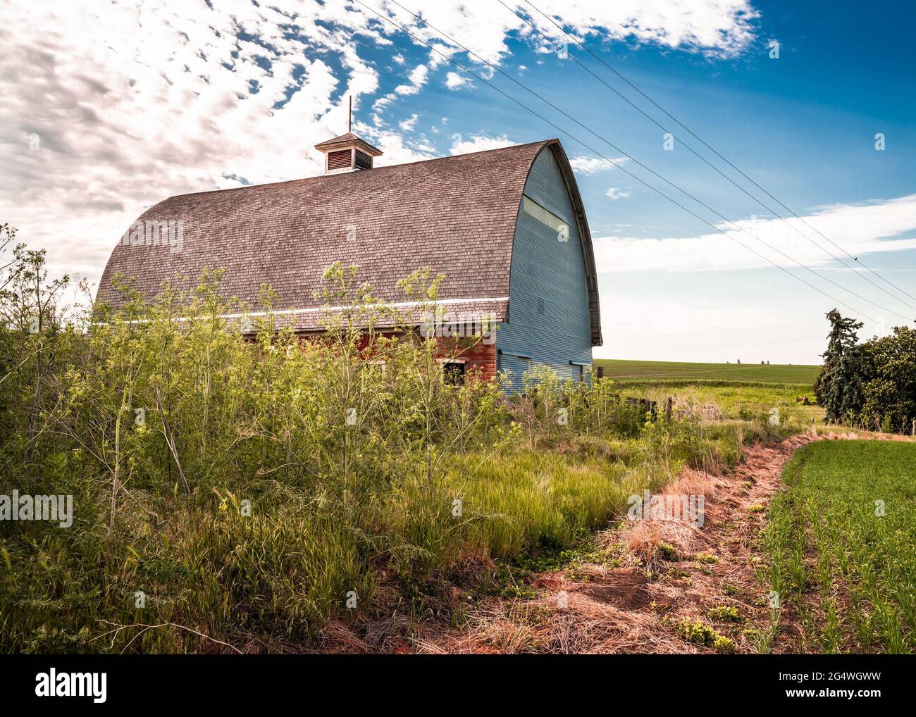 Abbandonato vecchio fienile in legno rosso in campagna paesaggio Foto Stock